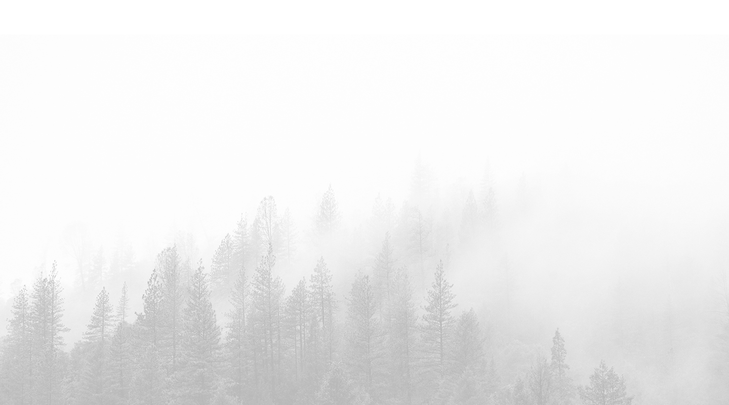 Hintergrundbild von Wald im Nebel und in Wolken